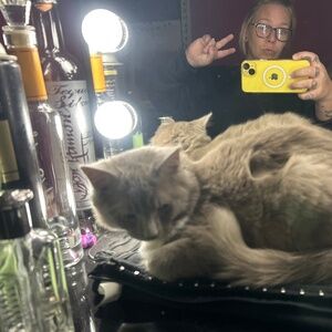 I phone 14 plus like new with tiktok